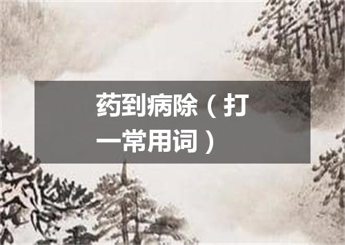 药到病除（打一常用词）