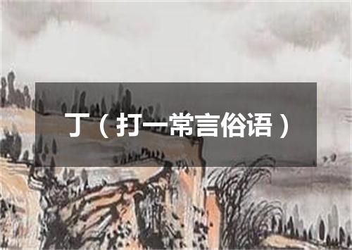 丁（打一常言俗语）