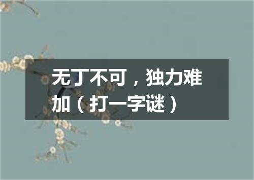 无丁不可，独力难加（打一字谜）