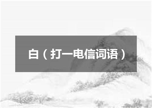 白（打一电信词语）