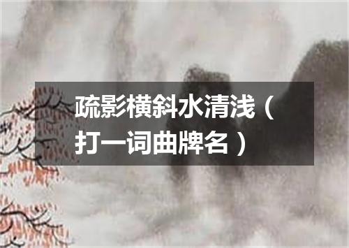 疏影横斜水清浅（打一词曲牌名）