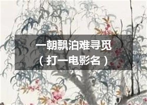 一朝飘泊难寻觅（打一电影名）