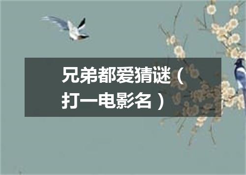 兄弟都爱猜谜（打一电影名）