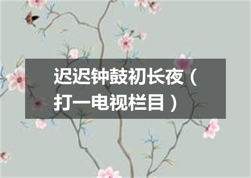 迟迟钟鼓初长夜（打一电视栏目）