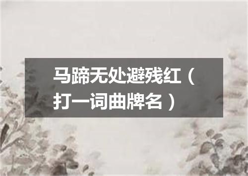 马蹄无处避残红（打一词曲牌名）