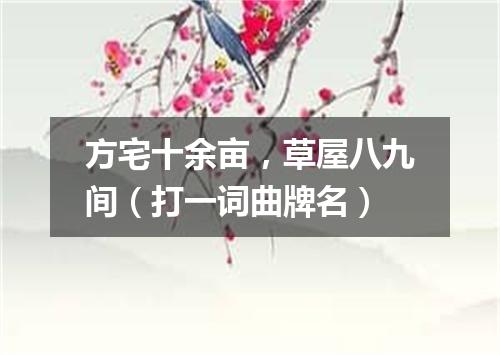方宅十余亩，草屋八九间（打一词曲牌名）