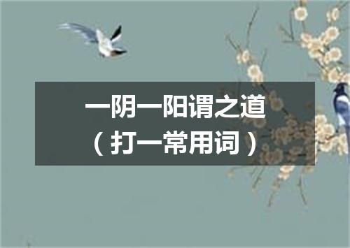 一阴一阳谓之道（打一常用词）