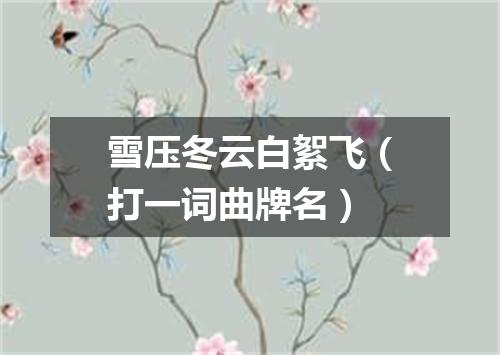 雪压冬云白絮飞（打一词曲牌名）