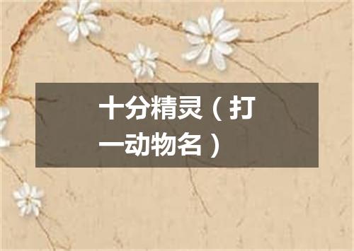 十分精灵（打一动物名）