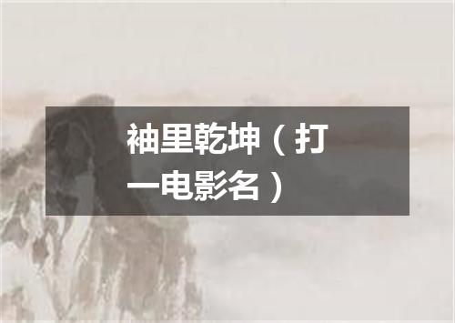 袖里乾坤（打一电影名）