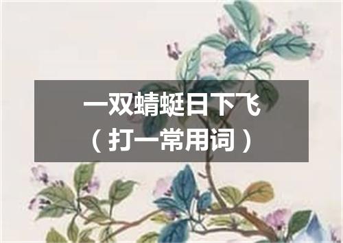 一双蜻蜓日下飞（打一常用词）