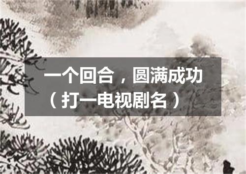 一个回合，圆满成功（打一电视剧名）