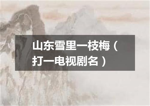 山东雪里一枝梅（打一电视剧名）