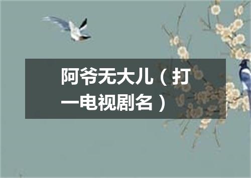 阿爷无大儿（打一电视剧名）