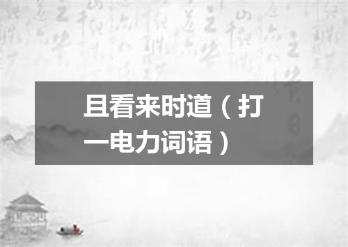 且看来时道（打一电力词语）
