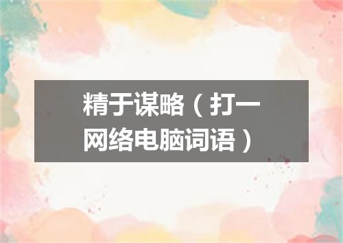 精于谋略（打一网络电脑词语）