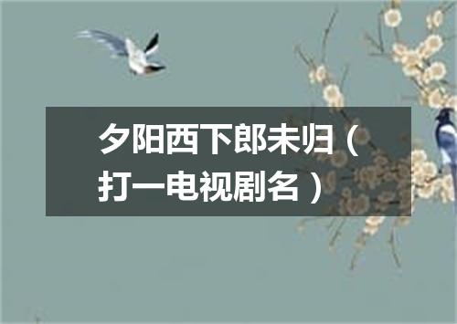 夕阳西下郎未归（打一电视剧名）