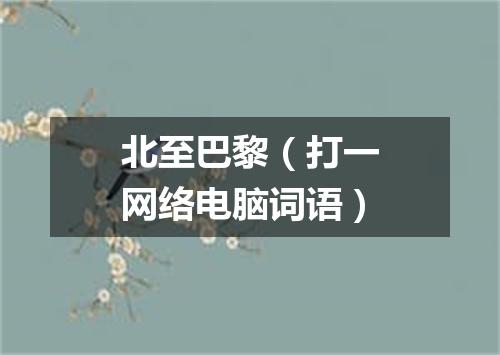 北至巴黎（打一网络电脑词语）