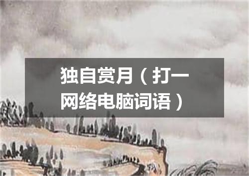 独自赏月（打一网络电脑词语）