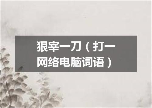 狠宰一刀（打一网络电脑词语）