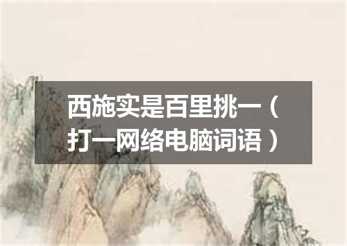 西施实是百里挑一（打一网络电脑词语）