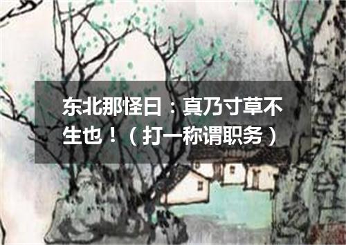 东北那怪曰：真乃寸草不生也！（打一称谓职务）