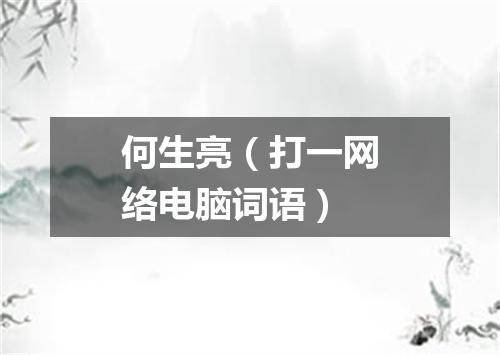 何生亮（打一网络电脑词语）