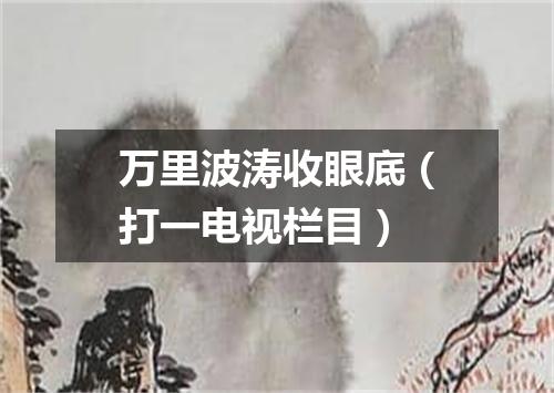 万里波涛收眼底（打一电视栏目）