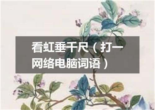 看虹垂千尺（打一网络电脑词语）