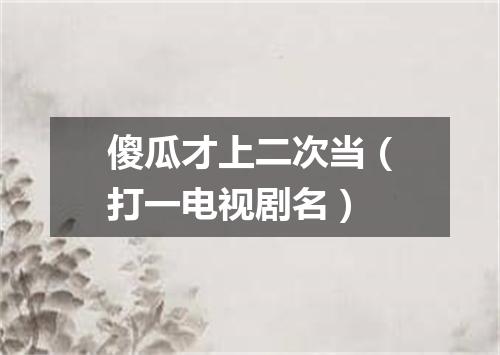 傻瓜才上二次当（打一电视剧名）