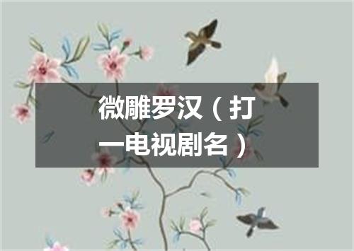 微雕罗汉（打一电视剧名）