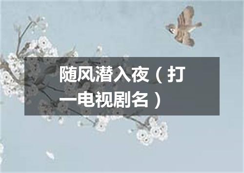 随风潜入夜（打一电视剧名）