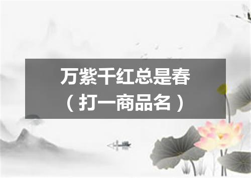 万紫千红总是春（打一商品名）