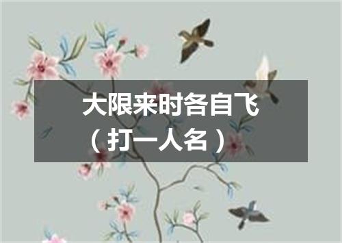 大限来时各自飞（打一人名）