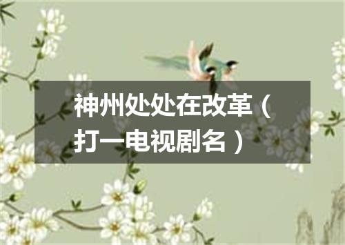 神州处处在改革（打一电视剧名）