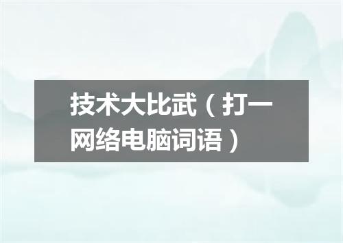 技术大比武（打一网络电脑词语）