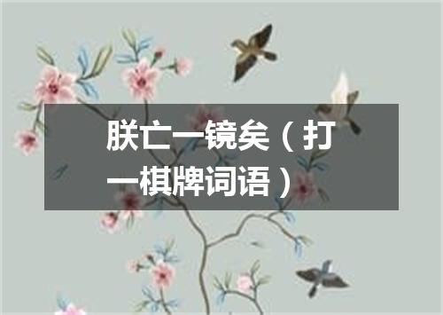 朕亡一镜矣（打一棋牌词语）