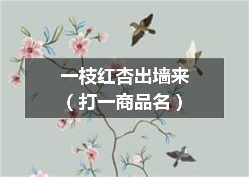 一枝红杏出墙来（打一商品名）