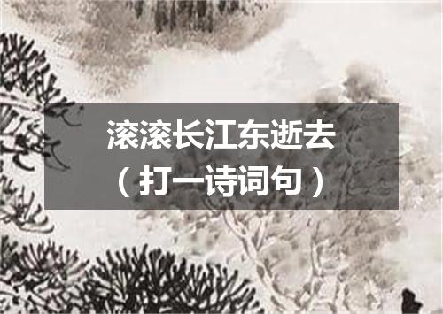滚滚长江东逝去（打一诗词句）