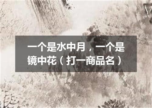 一个是水中月，一个是镜中花（打一商品名）