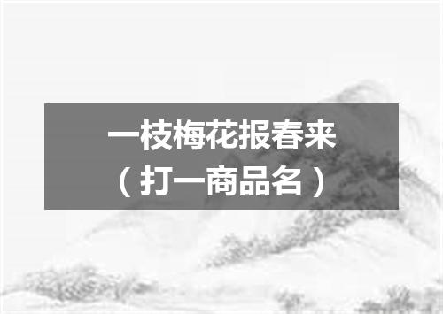 一枝梅花报春来（打一商品名）