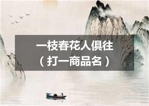 一枝春花人俱往（打一商品名）