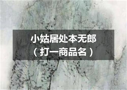 小姑居处本无郎（打一商品名）