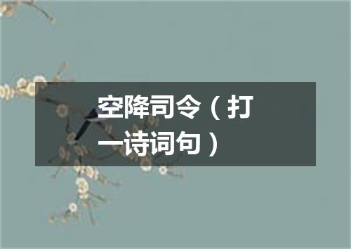 空降司令（打一诗词句）