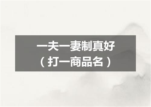 一夫一妻制真好（打一商品名）