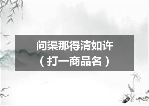 问渠那得清如许（打一商品名）