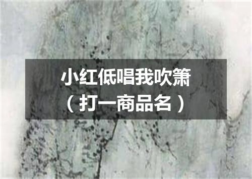 小红低唱我吹箫（打一商品名）