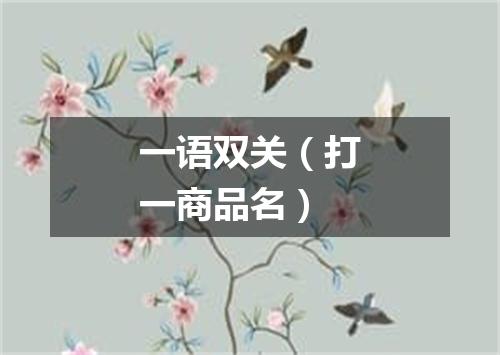 一语双关（打一商品名）