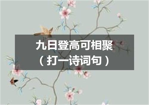 九日登高可相聚（打一诗词句）