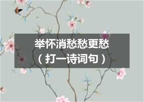 举怀消愁愁更愁（打一诗词句）